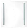 LED Bathroom Mirror Cabinet White and Oak 24.4"x5.5"x23.6"